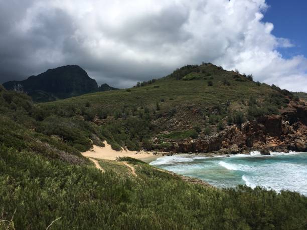 ハワイのカウアイ島のハウラビーチ。 - mahaulepu beach ストックフォトと画像