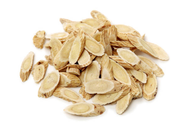istock Chinese Herbal medicine - Astragalus slices, Huang Qi (Astragalus propinquus) on white background 1170655312