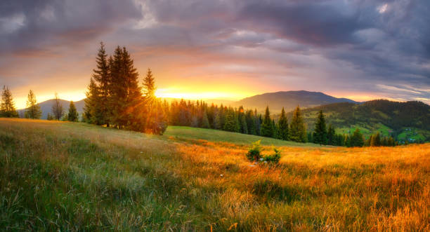 山の風景 - meadow forest field sunrise ストックフォトと画像