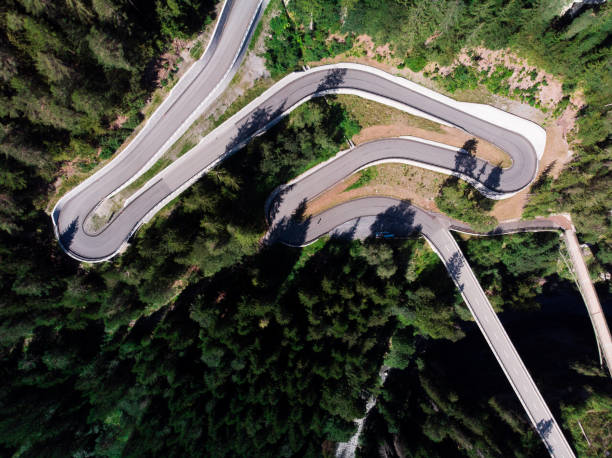 istock High Angle View Of Road Amidst Trees 1170657972