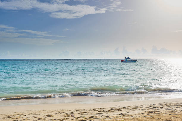 istock Punta Cana Dominican Republic Beach 1170660199
