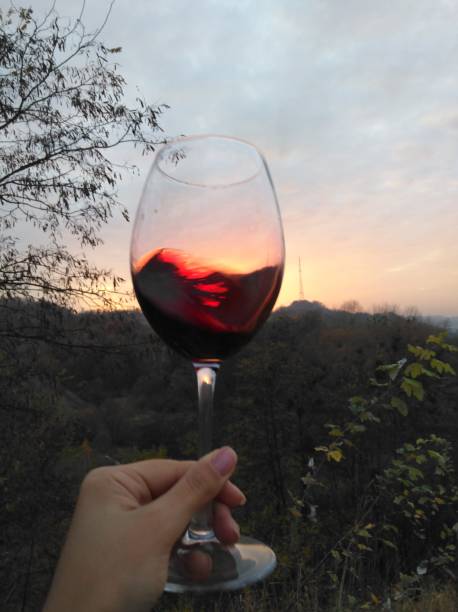 istock Swirl wine outdoor with hand 1170668204