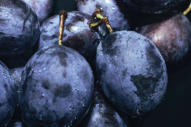 istock Close up beautiful fresh plums background. Macro view. 1170668217
