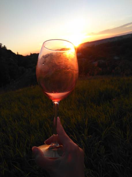istock Swirl wine outdoor with hand 1170668327
