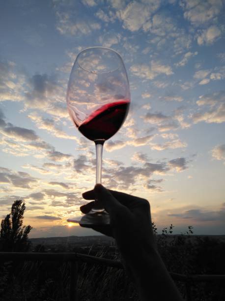 istock Swirl wine outdoor with hand 1170668415