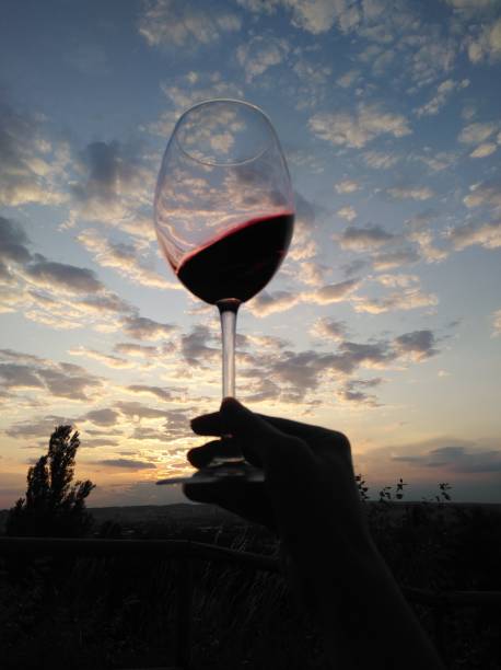 istock Swirl wine outdoor with hand 1170668417
