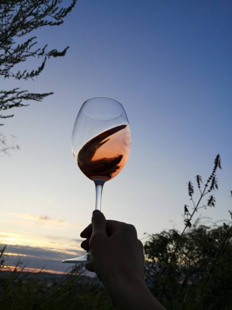 istock Swirl wine outdoor with hand 1170668485