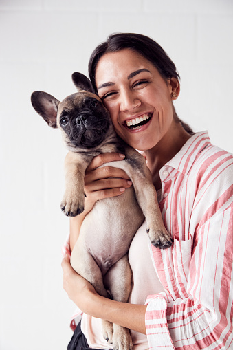 Studio Portrait Of Smiling Young Woman Holding Affectionate Pet French Bulldog Puppy