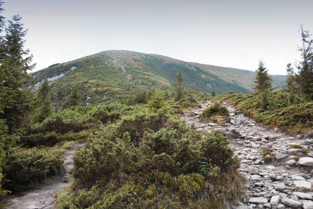 istock Trail in the mountains. Scenic nature 1170671135