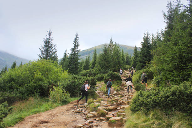 istock Trail in the mountains. Scenic nature 1170671244
