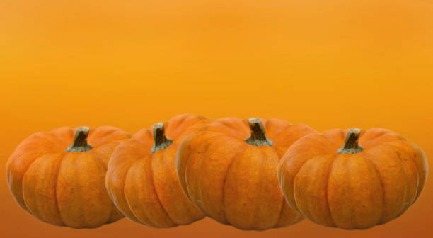 istock few decorative pumpkins  for halloween on orange backgound 1170671330