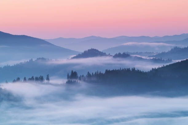 istock Summer sunrise near the forest 1170673581