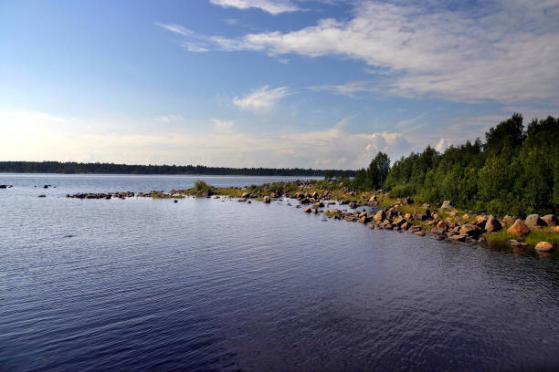 istock Norwegian Fjord 1170673867