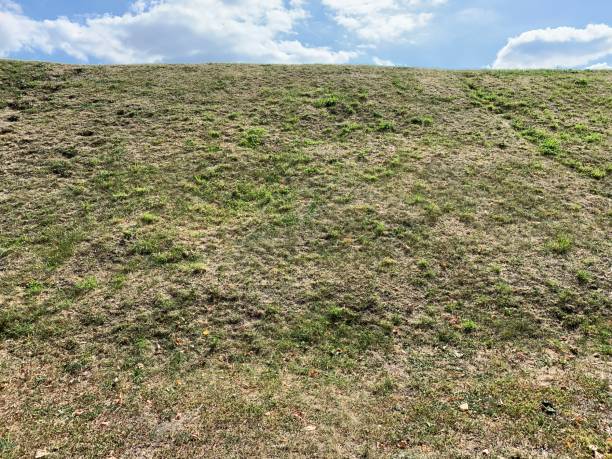 istock Green hill with blue sky above 1170678660