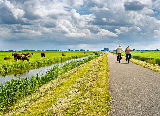 A man and a woman cycling on a road with green surroundings A couple of bicyclists crossing a nice meadow, moving towards skyscrapers. netherlands stock pictures, royalty-free photos & images