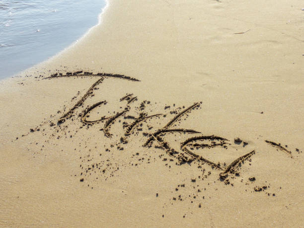 istock Sandy beach with wave and the word 