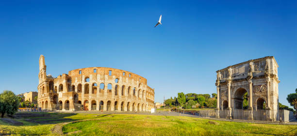 o arco de constantine e de colosseum em roma, italy - vegetação mediterranea - fotografias e filmes do acervo