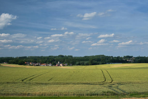 istock u-turn in field of wheat 1170684863