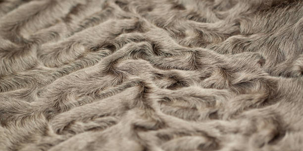 istock light brown astrakhan fur with a beautiful texture 1170684966