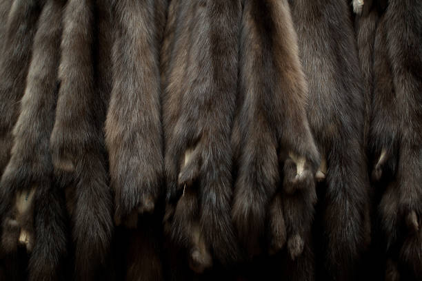 brown mink fur at auction