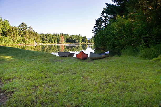 istock Morning on the Pond 117068506