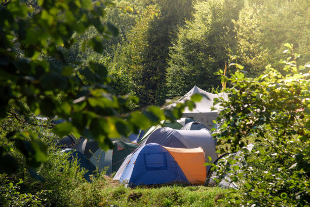istock Tourist tents camp 1170685099