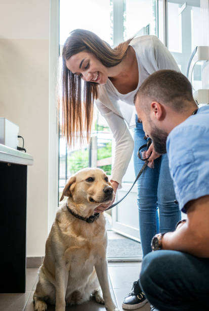 istock Veterinarian life 1170686914