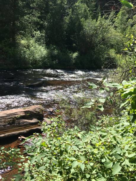 istock The calming of a river 1170688503
