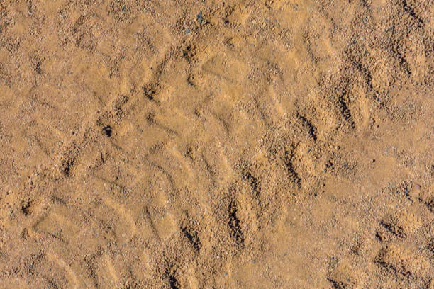 pistes des pneus sur un sable dans le désert - tire track egypt track africa photos et images de collection