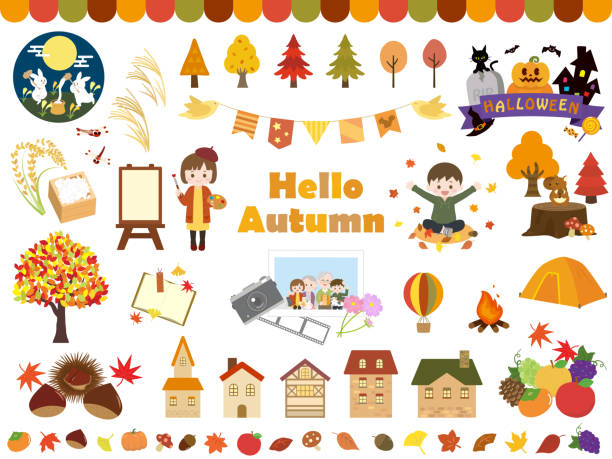 가을 세트4 - chestnut pumpkin leaf autumn stock illustrations