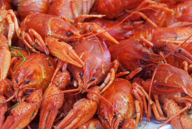 istock Still life with crayfish crawfish on old wooden background 1170699101