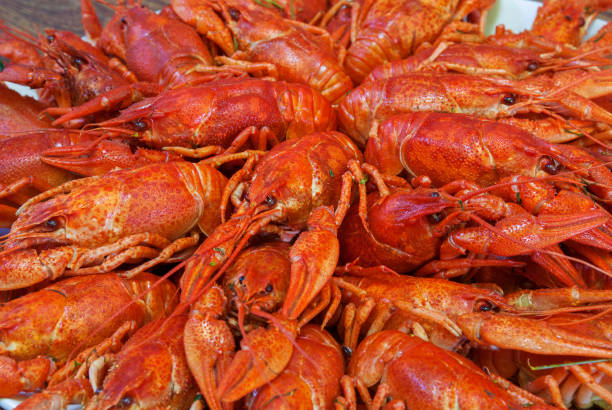 istock Still life with crayfish crawfish on old wooden background 1170699629