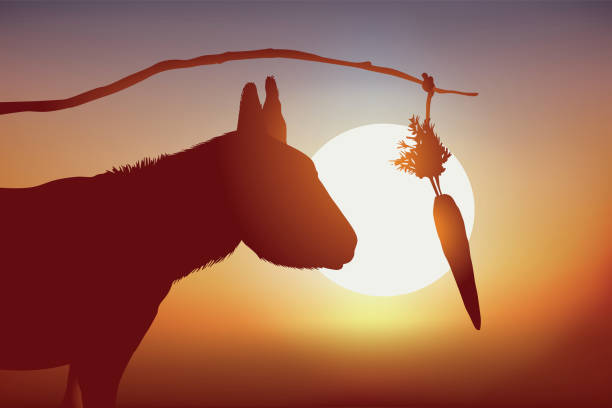illustrations, cliparts, dessins animés et icônes de concept de l’âne que l’on appâte avec une carotte pour le faire avancer. - stick dangling a carrot carrot motivation