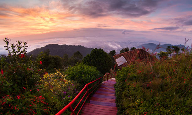 istock George Town City view from Penang Hill during dawn 1170700500