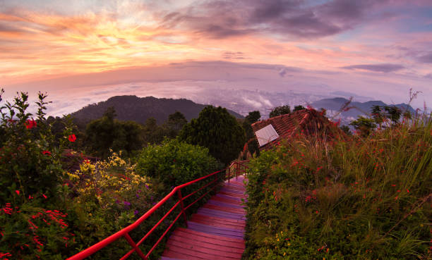 istock George Town City view from Penang Hill during dawn 1170700540