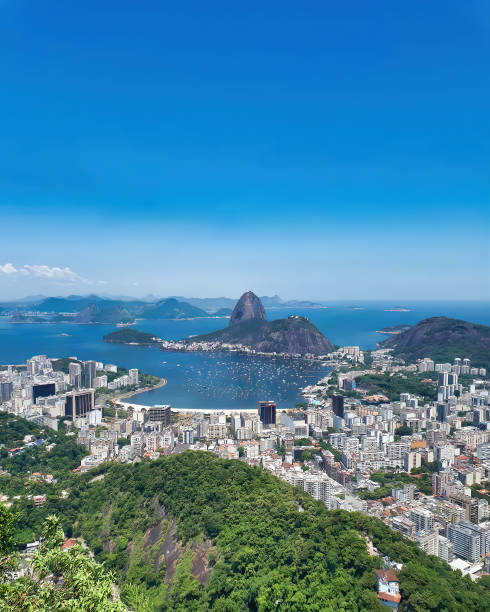 istock very nice view of rio de janeiro 1170700714