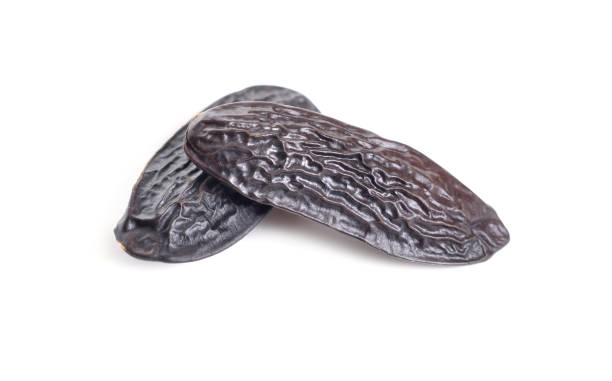istock Dried tonka beans isolated on white background 1170704505