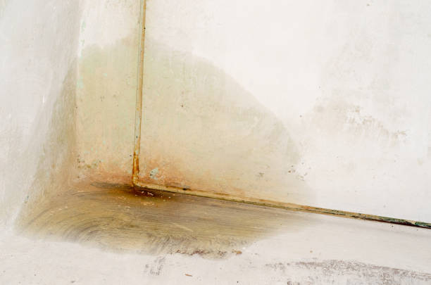 istock oil pipe leak home wall 1170705461