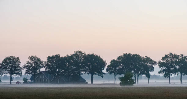 Boerderij in de achterhoek op een vochtige zomer ochtend
