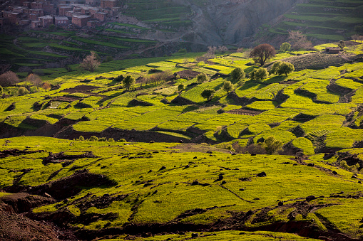 Mountain village, road over the pass from Demnate , Morocco,North Africa,Nikon D3x