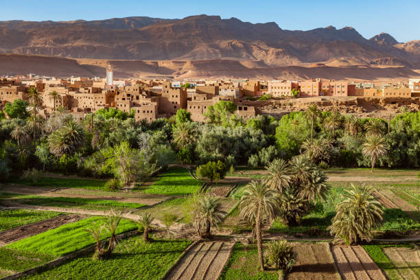 Kasbah of Tinerhir and Atlas Mountains in Morocco, North Africa stock photo