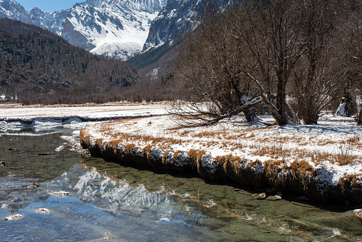 Colorful Chonggu meadow with snow-capped mountains in the background in Yading Nature Reserve, Sichuan, China. Last Shangri-la hight 4,600 meter from sea