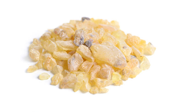 istock Copal is a name given to tree resin 1170712156