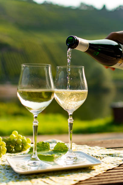 Famous German quality white wine riesling, produced in Mosel wine regio from white grapes growing on slopes of hills in Mosel river valley in Germany