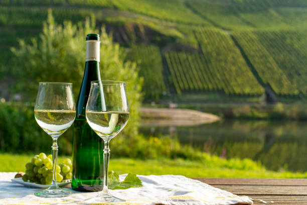istock Famous German quality white wine riesling, produced in Mosel wine regio from white grapes growing on slopes of hills in Mosel river valley in Germany 1170712301