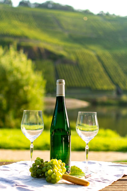 istock Famous German quality white wine riesling, produced in Mosel wine regio from white grapes growing on slopes of hills in Mosel river valley in Germany 1170712308
