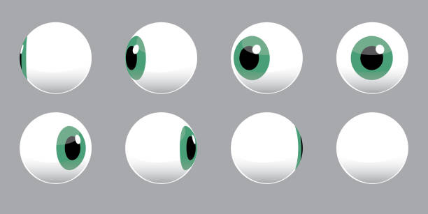 ilustraciones, imágenes clip art, dibujos animados e iconos de stock de ilustración vectorial de giro de globo ocular 3d - globo ocular