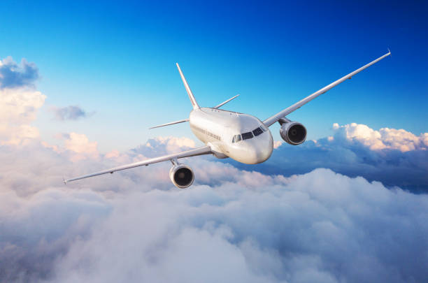 istock Passengers commercial airplane flying above clouds 1170721837