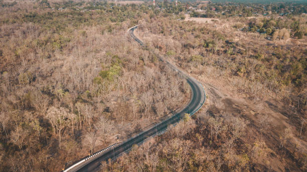 istock Aerial view curve road and the forest natural 1170724363