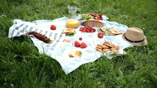 summer picnic on the grass with an open picnic basket, fruit, with toasted sandwiches and berries. picnic tablecloth.